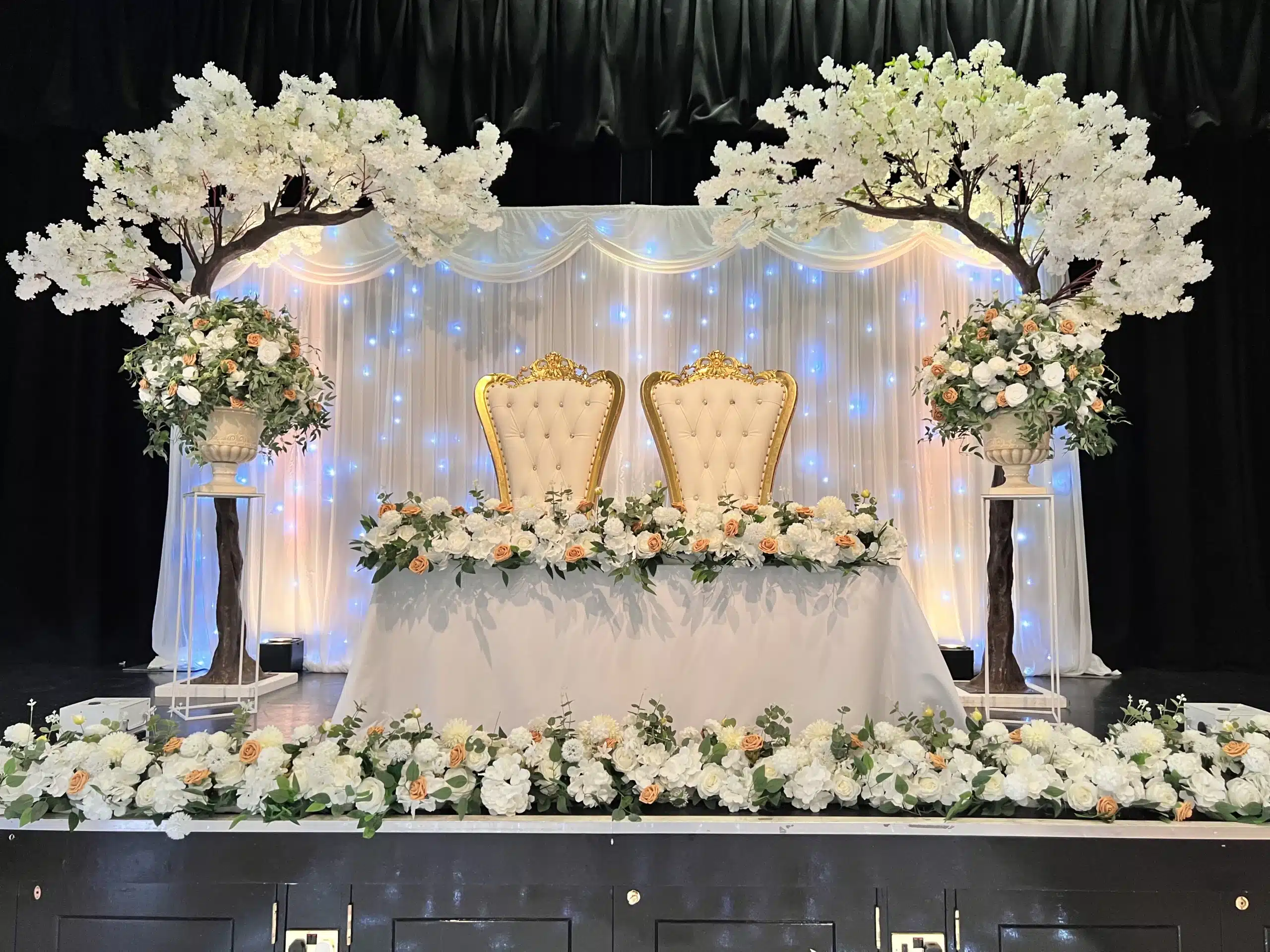 Backdrops of mr and mrs chairs